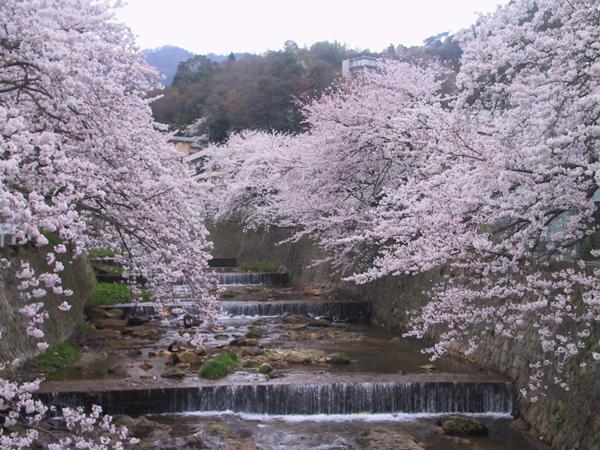 Kadonobo Ryokan Кобе Экстерьер фото